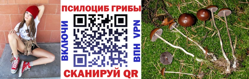 Псилоцибиновые грибы мухоморы  Нефтегорск 
